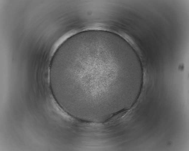 X0000113571238200910021622