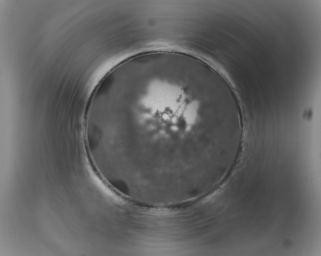 X0000113571239200910021622