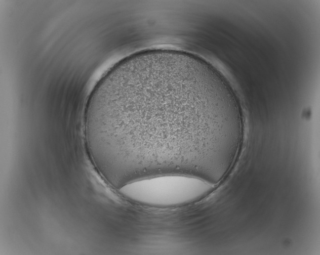 X0000113571240200910021622