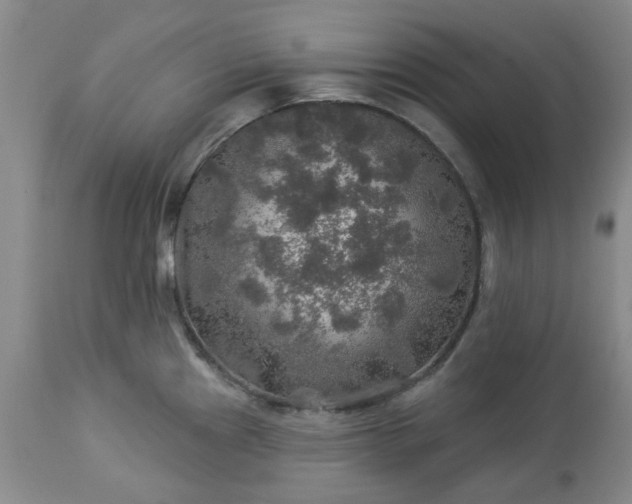 X0000113571241200910021622