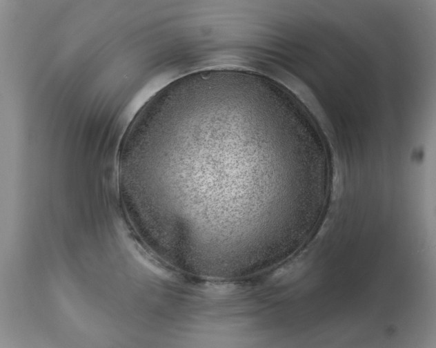X0000113571242200910021622