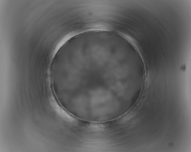 X0000113571243200910021622
