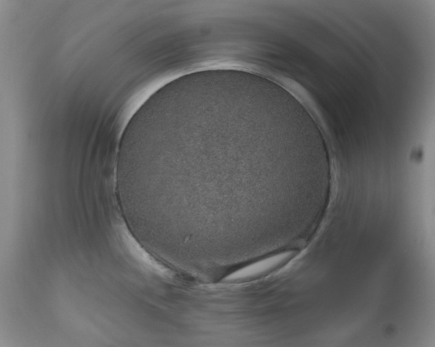 X0000113571244200910021622