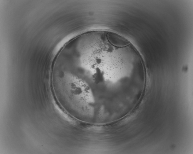 X0000113571245200910021622