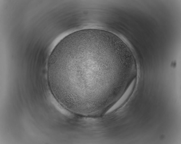 X0000113571246200910021622
