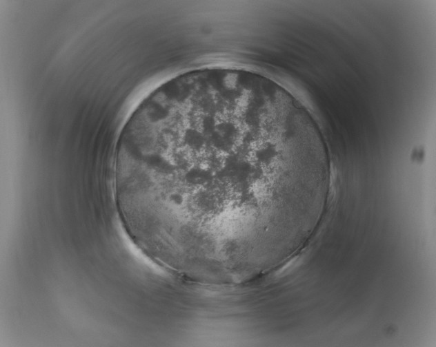 X0000113571247200910021622