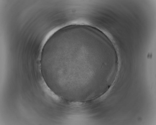 X0000113571248200910021622
