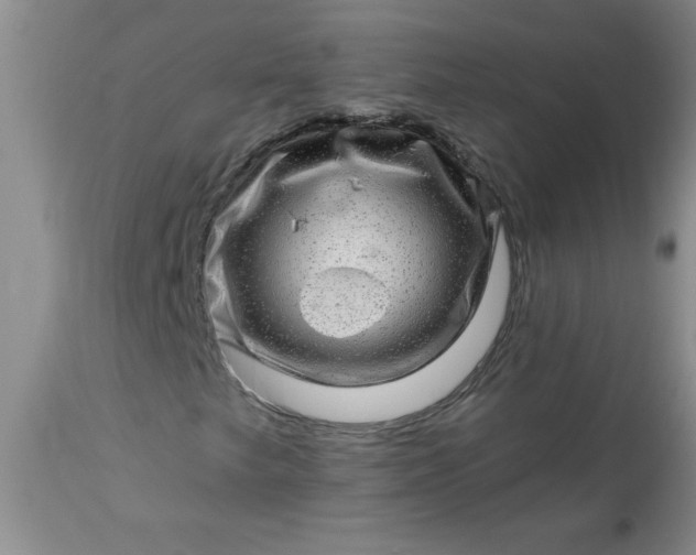 X0000113571249200910021621