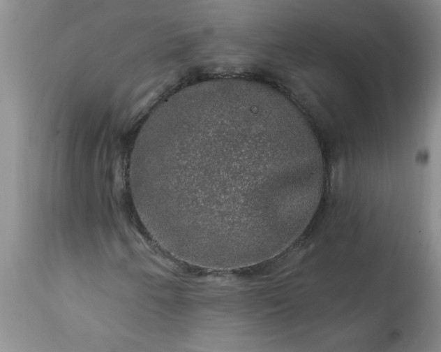 X0000113571250200910021621