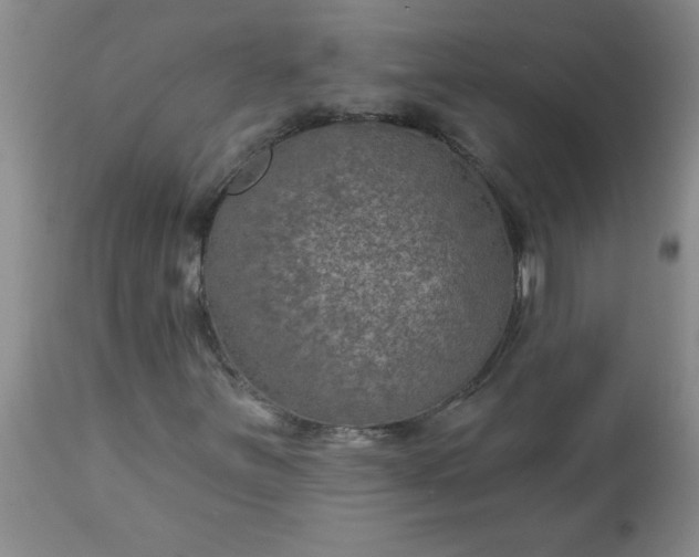X0000113571251200910021621