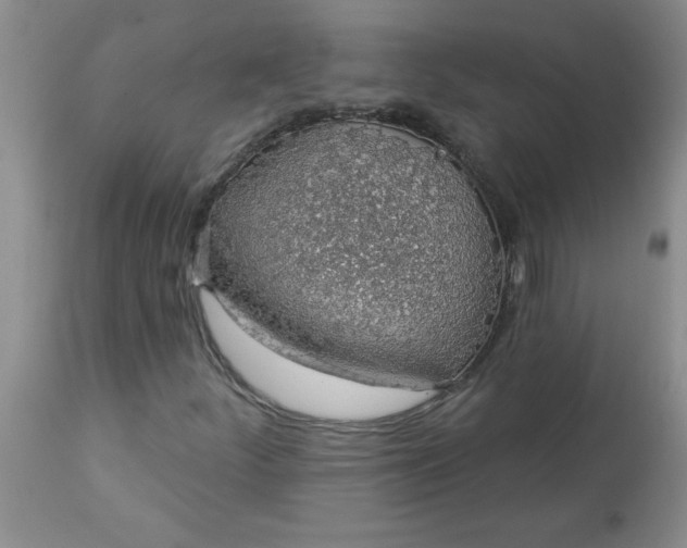 X0000113571252200910021621