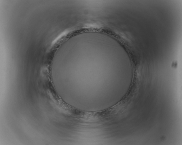 X0000113571254200910021621