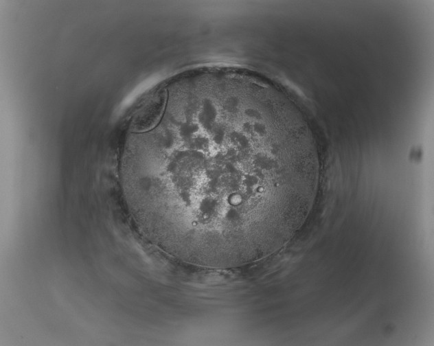 X0000113571255200910021621