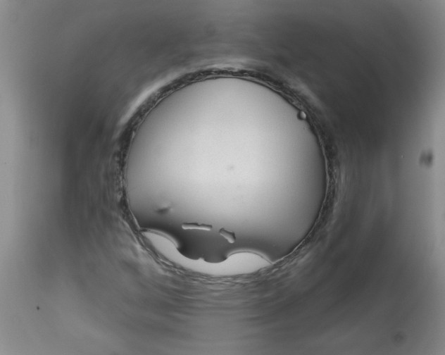 X0000113571256200910021621
