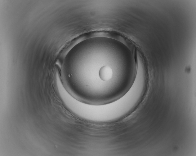 X0000113571257200910021621