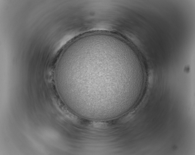 X0000113571258200910021621