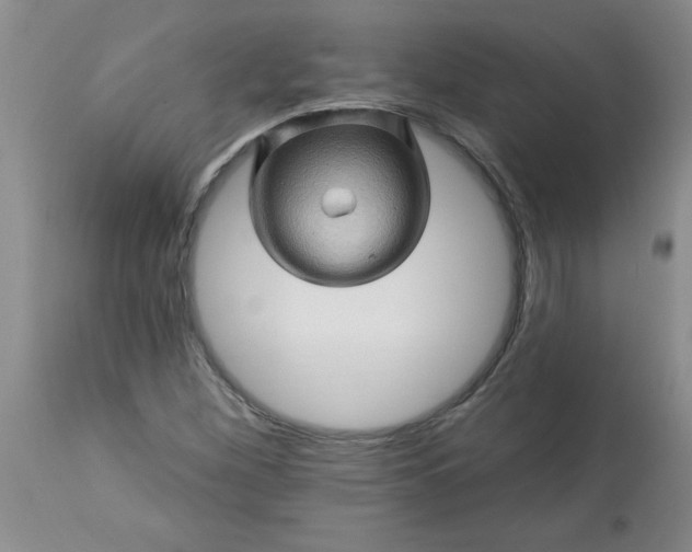 X0000113571260200910021621