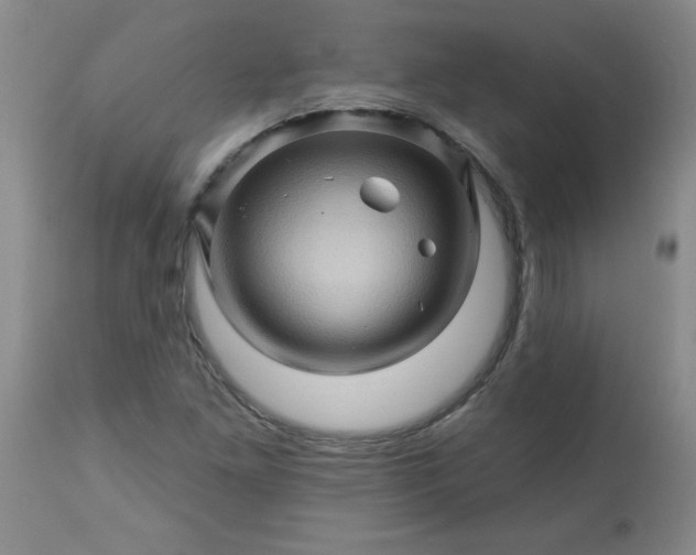 X0000113571261200910021621
