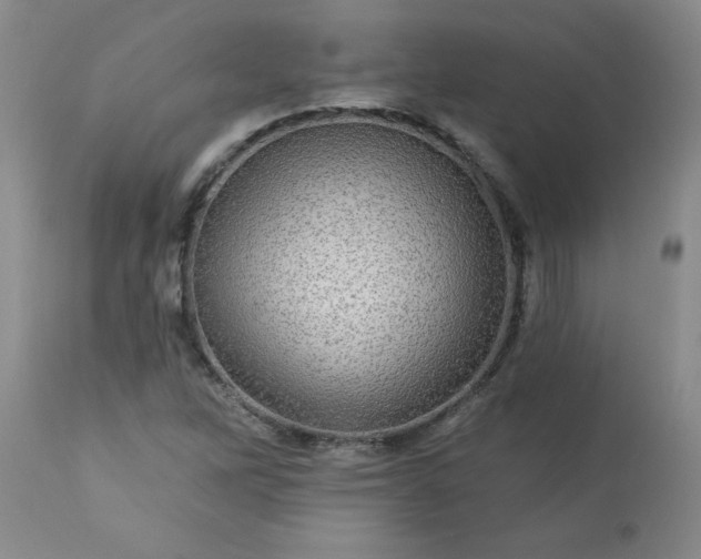 X0000113571262200910021621
