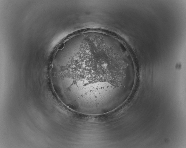 X0000113571263200910021621