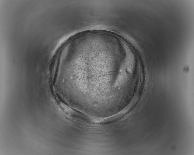 X0000113571264200910021621