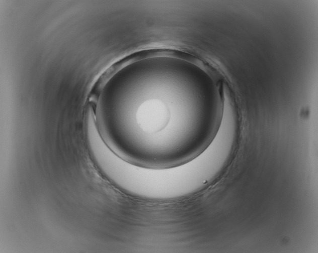 X0000113571268200910021621