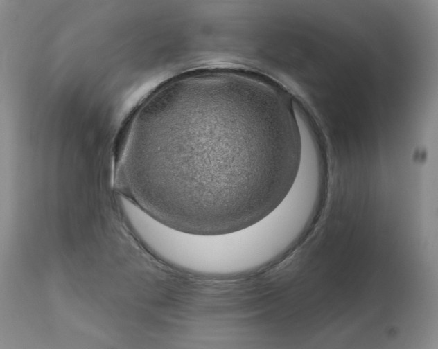 X0000113571269200910021621