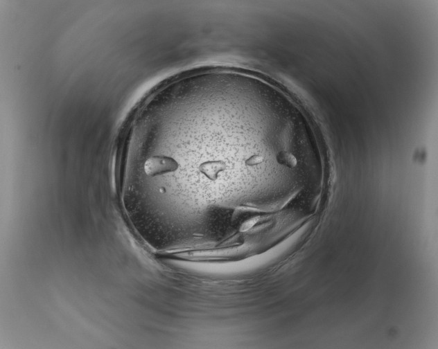 X0000113571272200910021621