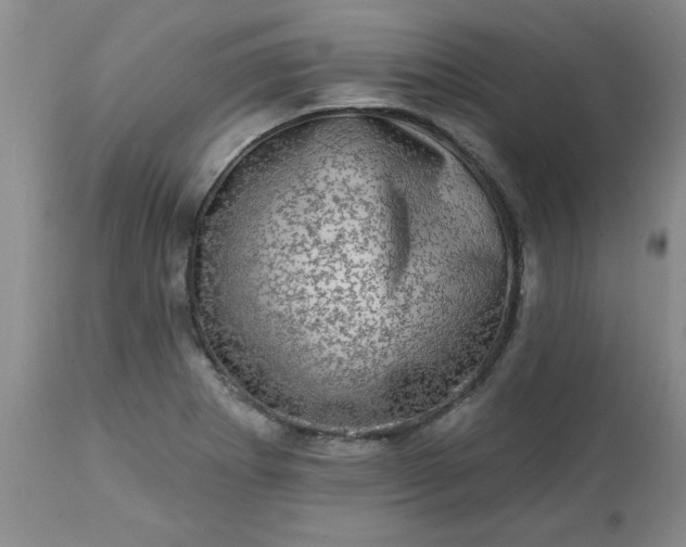 X0000113571273200910021621