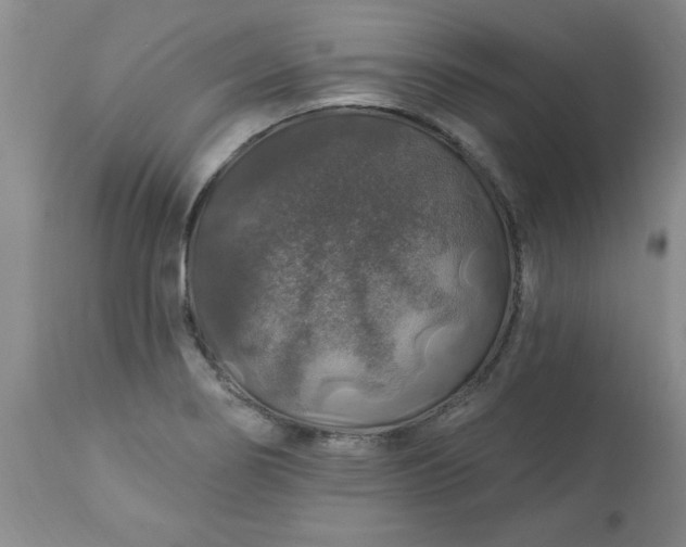 X0000113571274200910021621