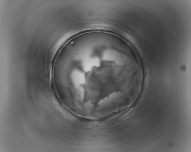X0000113571275200910021621