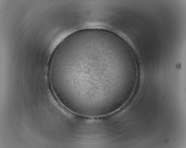X0000113571277200910021621