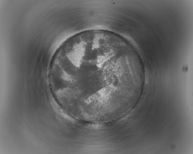 X0000113571278200910021621