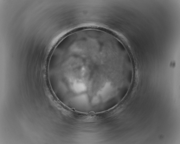 X0000113571279200910021621