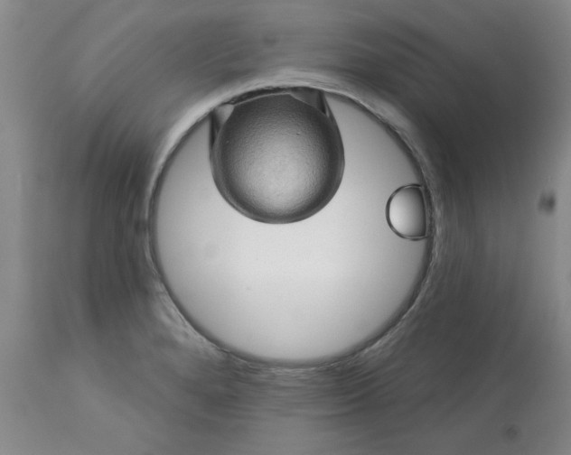 X0000113571280200910021621
