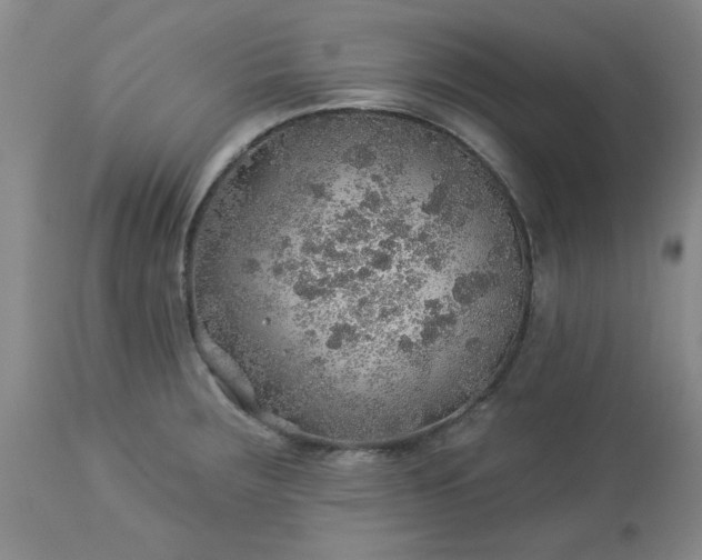 X0000113571283200910021621