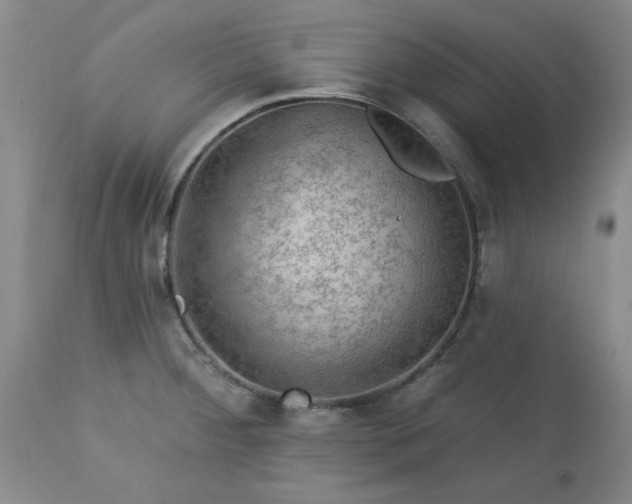 X0000113571284200910021621
