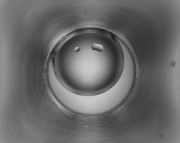 X0000113571285200910021621