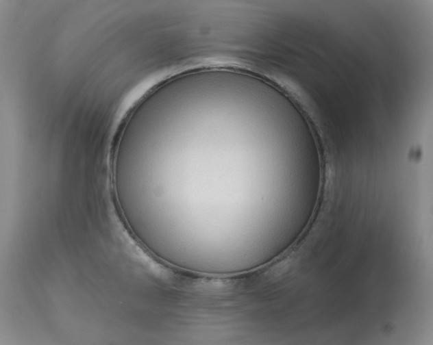 X0000113571286200910021621
