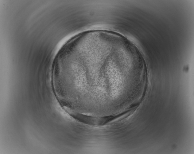 X0000113571288200910021621