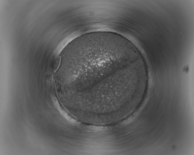 X0000113571289200910021621