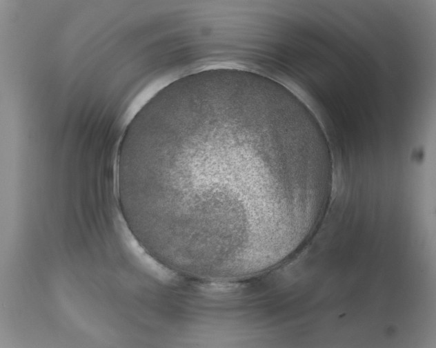 X0000113571290200910021621