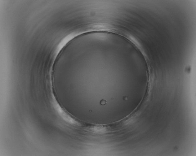 X0000113571291200910021621