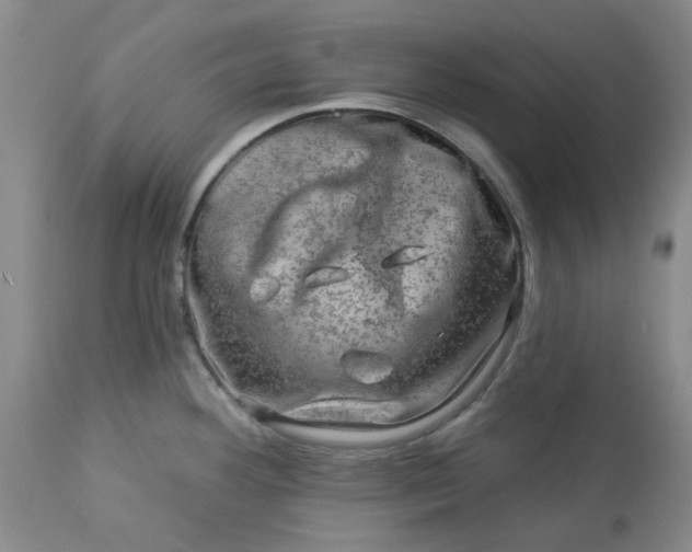 X0000113571292200910021621