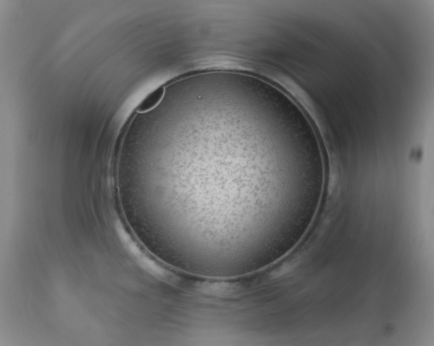 X0000113571293200910021621