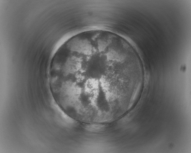 X0000113571294200910021620