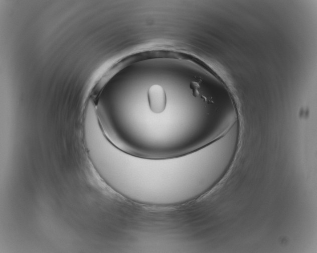 X0000113571296200910021620