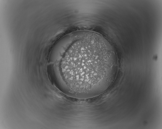 X0000113571297200910021620