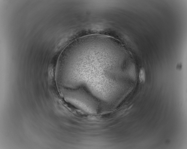 X0000113571299200910021620