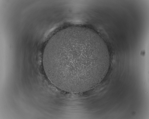 X0000113571301200910021620
